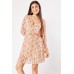 Chiffon Floral Pleated Dress