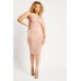 Low Plunge Bodycon Blush Dress