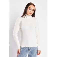 Roll Neck Rib Knit Top